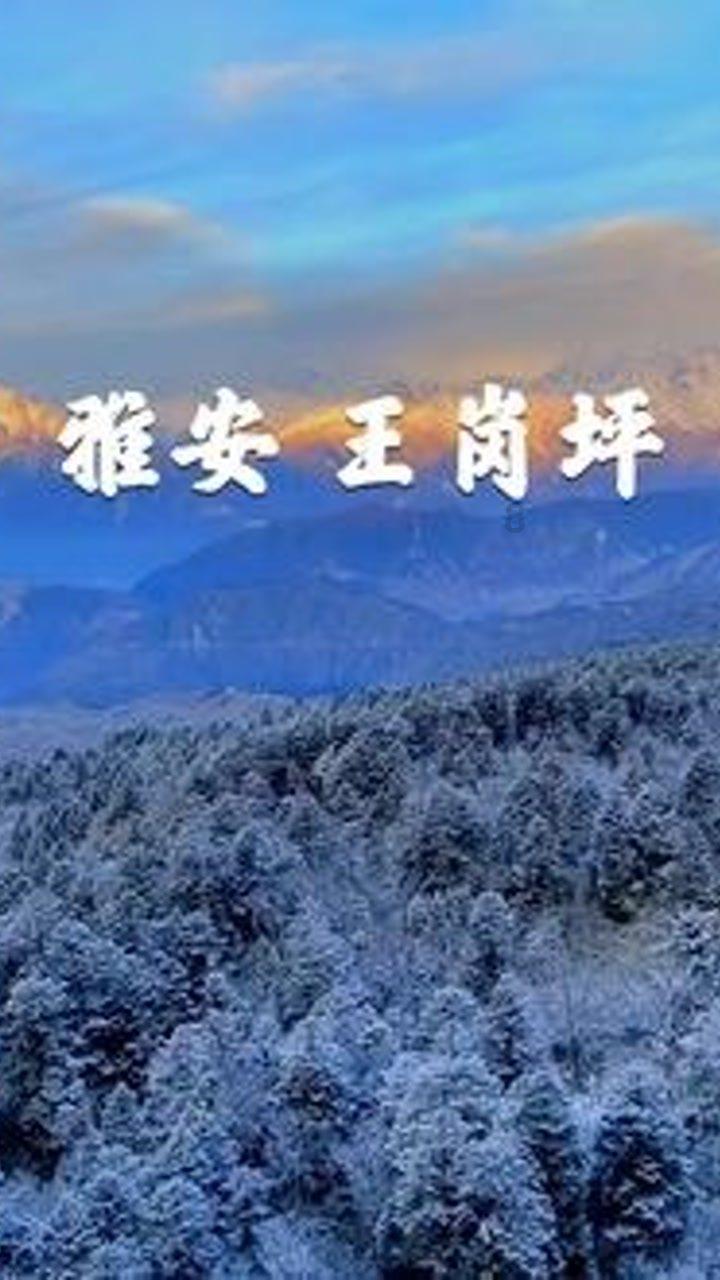 沸腾！大逆转！A股神秘资金进场托底，沪深300ETF涌入巨量资金！金融股重新发力，带领指数直线拉升！