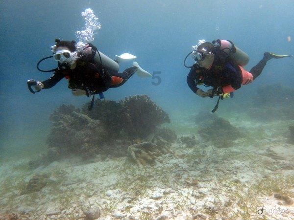 深圳首条黄金珠宝低空运输航线开通